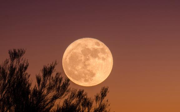 好看的月亮，天空中的月亮，明月为主题的意境图片