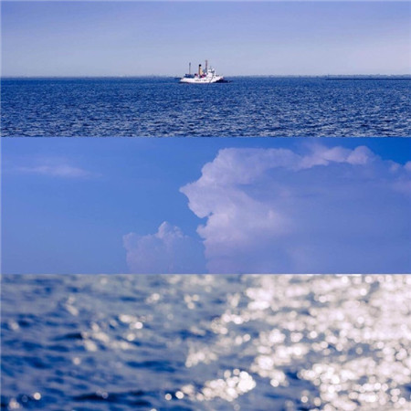 蓝色的海洋以及海洋生物壮阔美丽好看风景图片