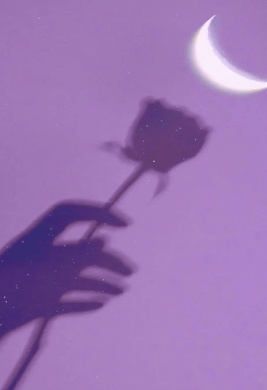 在日升月落里等待更好的一年 一组超级温柔又浪漫的紫色系壁纸