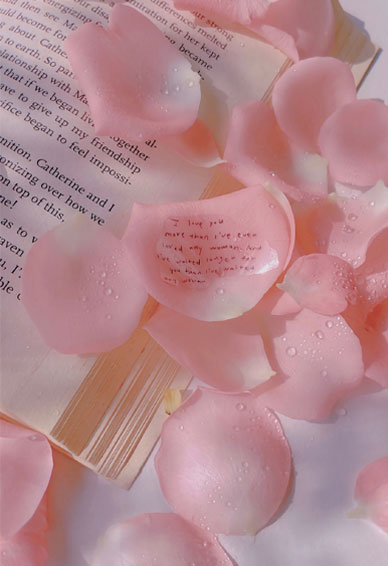 汹涌的爱意总要有个交代 粉色系唯美很浪漫的无水印全屏壁纸