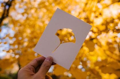剪纸<span style='color:red;'>剪影</span>艺术，以枯黄的落叶，树叶为背景的剪纸艺术摄影桌面高清壁纸