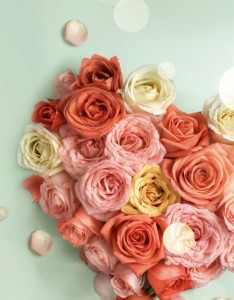 玫瑰花 母亲节快乐 手机壁纸