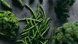 绿色营养的新鲜蔬菜豆角高清图片（8张）